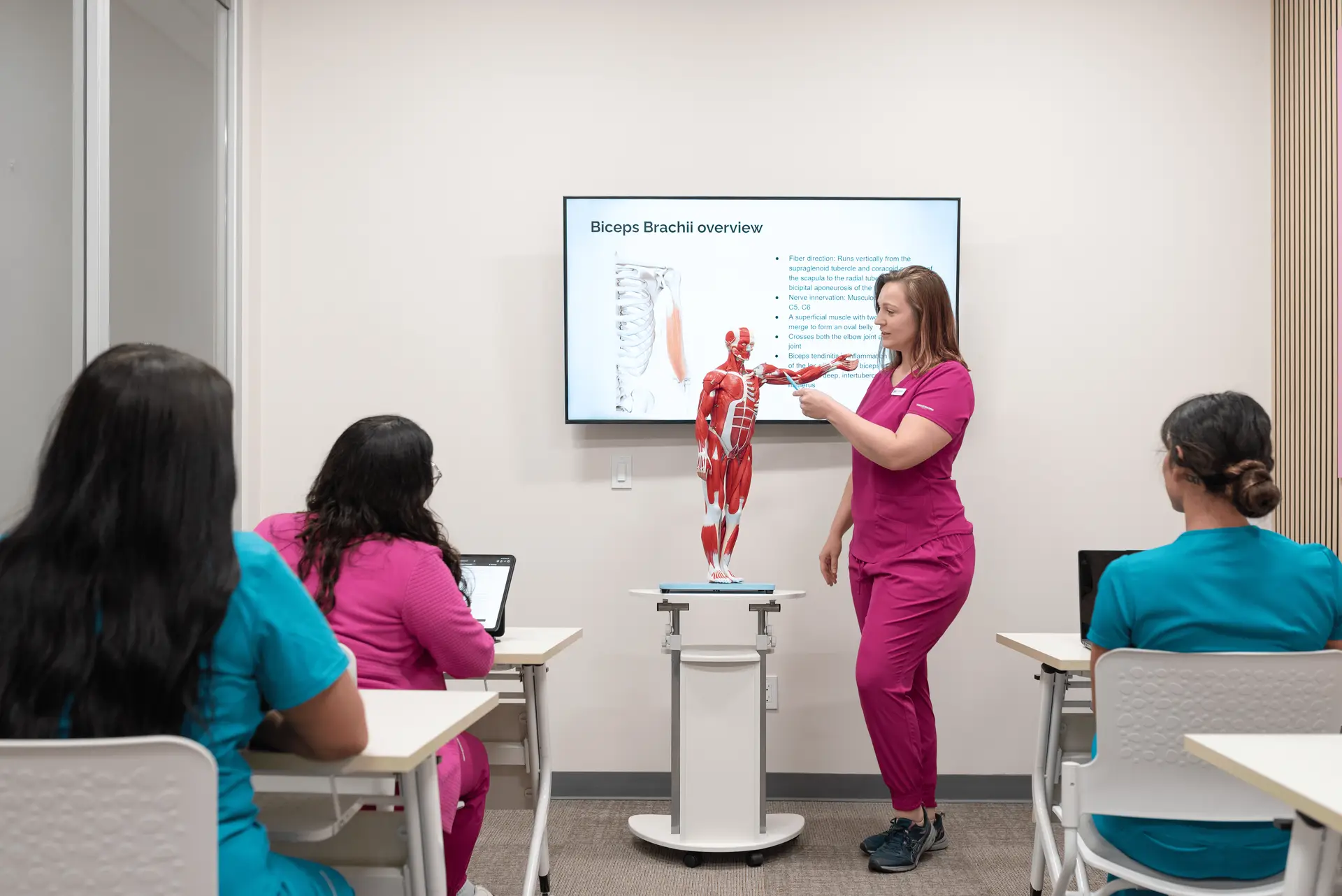 Institute For Medical Aesthetics And Laser | Medical Aesthetics Training Florida | Laser Hair Removal Training in Florida | Massage School | Beauty School in Fort Myers