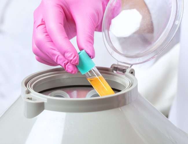 The Intro to PRP (Platelet-Rich Plasma) Training Certification Course at the Institute for Medical Aesthetics & Laser (IMAGE) in North Fort Myers, Florida